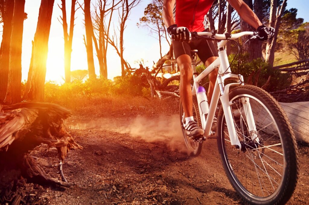 mountain bike stock