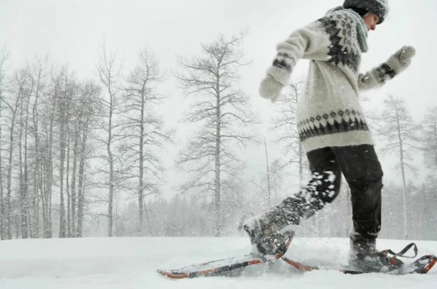 snowshoe stock 1